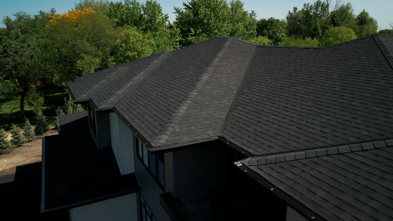 Best Roof Leak Repair  in Genesee, ID